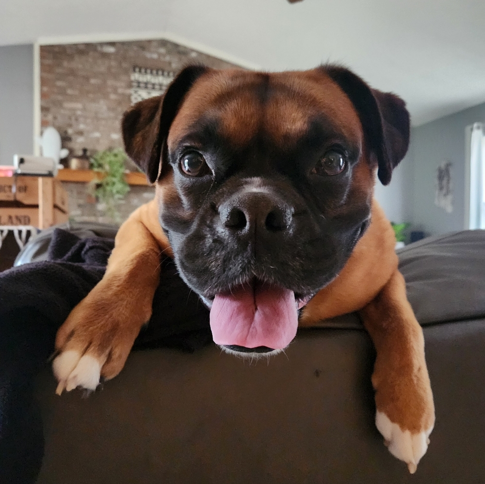 Meet your Posher, Katie